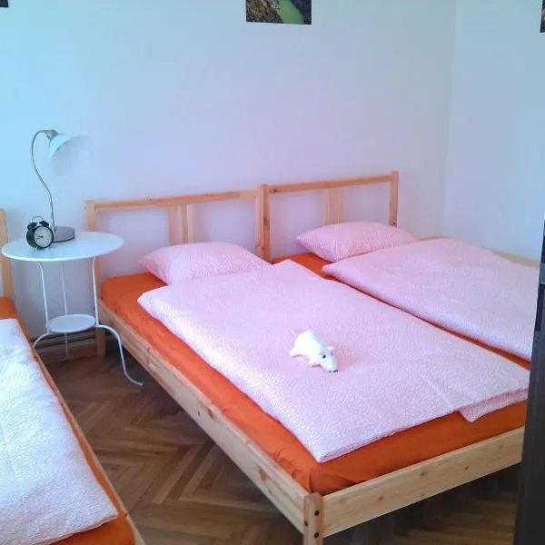 UBYTOVÁNÍ SVOJANOV, hotel v destinaci Svojanov