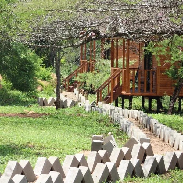 Igula lodge, hotel en Manyoni Private Game Reserve