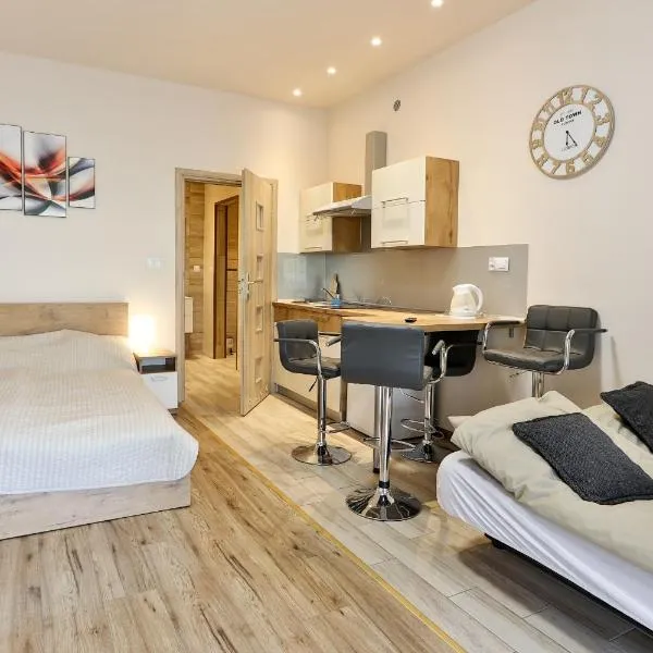Rajski Zakątek, hotel v destinácii Ustroň