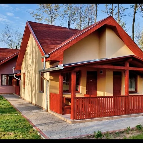 Sárkány Apartman, Sárkány Wellness és Gyógyfürdő, hotel in Ófehértó