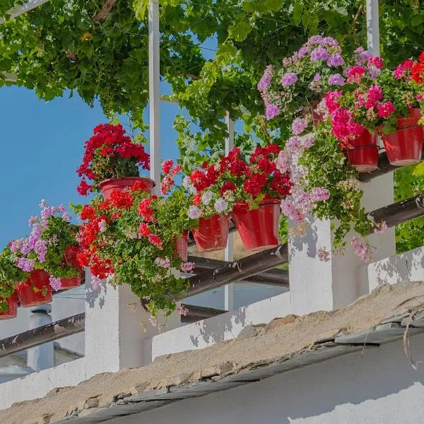 Apartamentos Rurales Las Chimeneas, viešbutis mieste Capileira