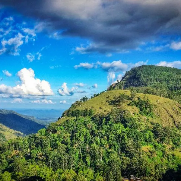 埃拉盛开玫瑰民宿，位于埃拉的酒店