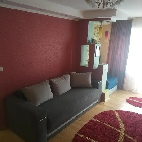 Apartment on Danyla Galytskogo 8A, hotel din Morșîn