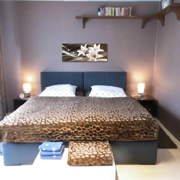 Dein Zuhause auf Zeit, hotel in Heringen