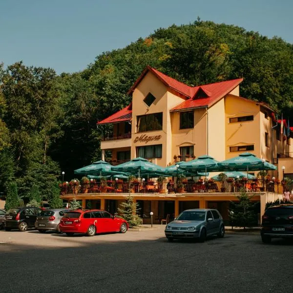 Pensiunea Magura, Hotel in Firiza