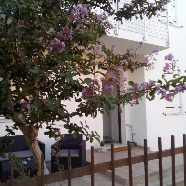 The judas trees, hotel v Mestre