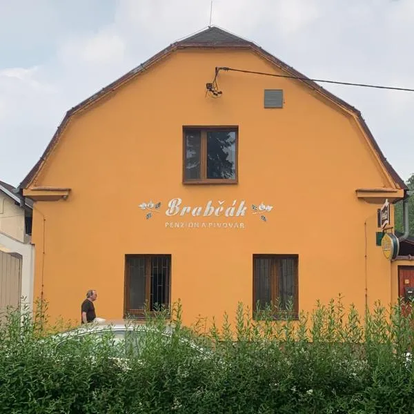 Penzión Brabčák, hotel in Stará Ves nad Ondřejnicí