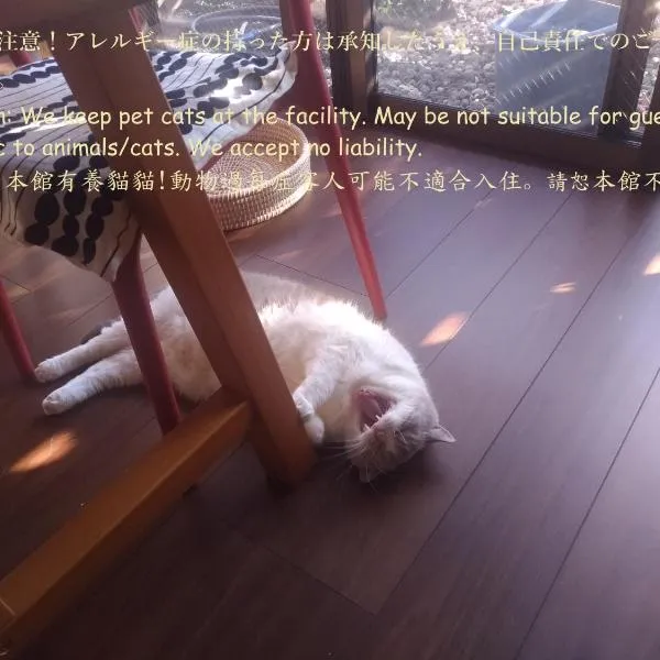 Guesthome Machiya Koza, hotel v destinaci Okinawa