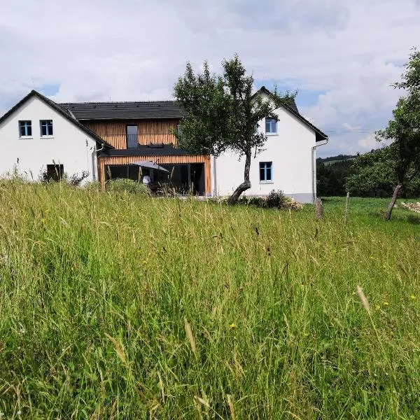 Apartmán "Na Třináctce" Březiny u Poličky 13, hotel v Březinách