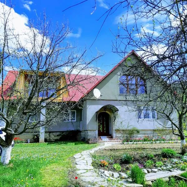 Gostynna Rodyna, hotel v destinaci Izky