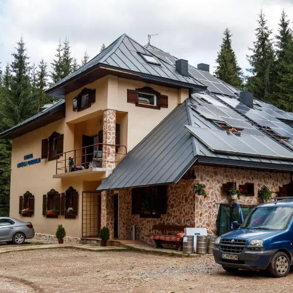 Pension Cabana Cetatile Ponorului – hotel w mieście Padiș