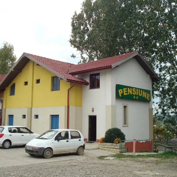 Pensiunea Marc, hôtel à Ionăşeni