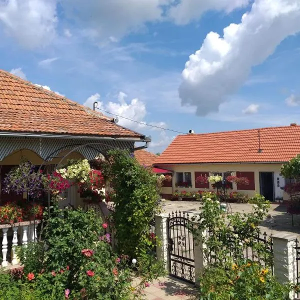 La Mosu-n Retezat: Nucşoara şehrinde bir otel