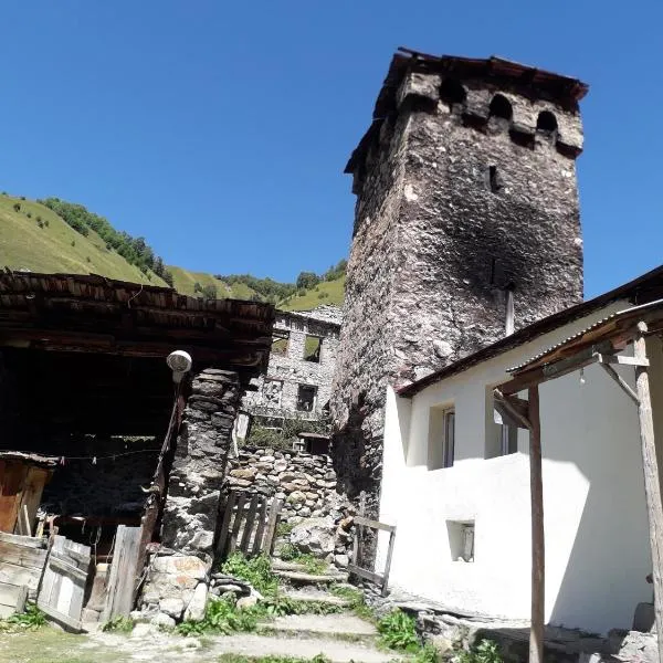 Hotel Family Bachi, отель в городе Адиши