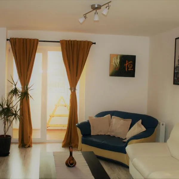 Casa Peterfi - Apartment with 3 Bedrooms and Spacious Living Room、トゥルグ・ムレシュのホテル