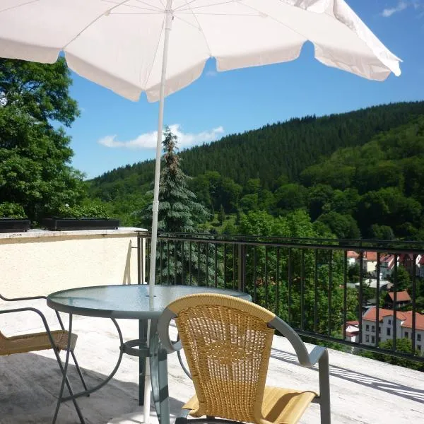 Hotel Waldhaus-Hutzelhöh, hotel v destinaci Ruhla
