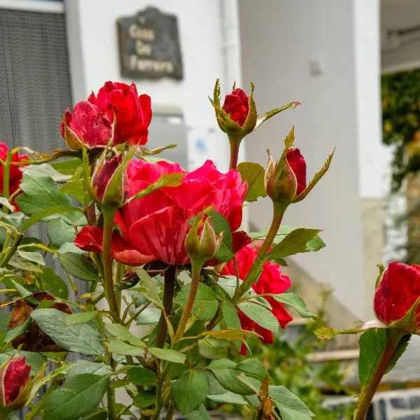 Casa do Ferreiro, hotel in Góis