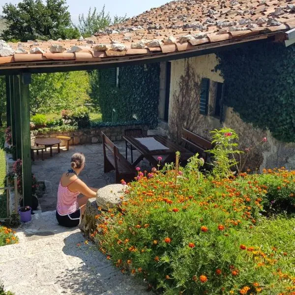 Old house Nilovic, hotel v destinaci Livari
