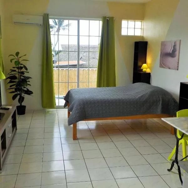 Apartment Studio Halfon, hotel in Maharepa