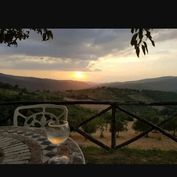 Camere e Appartamenti Baldini Romanita, viešbutis mieste Radda in Chianti