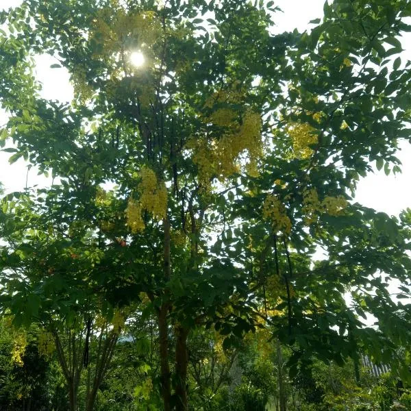 Kum Nangpaya, hotel v destinaci Kaeng Krachan
