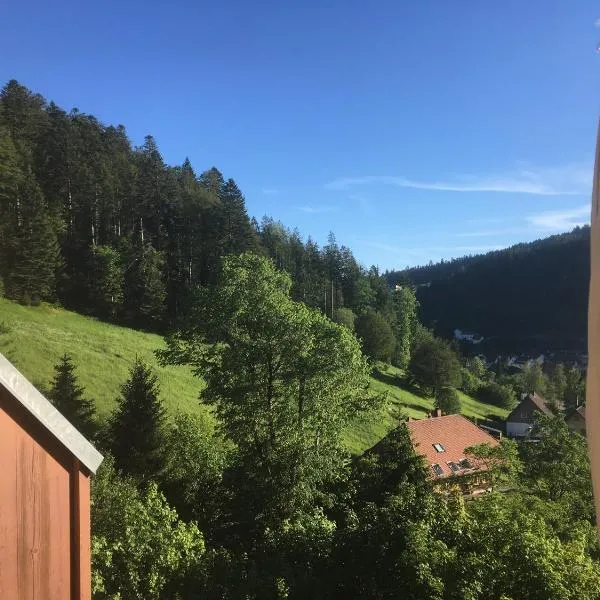 Zum Schwalbennest, hotel em Todtmoos