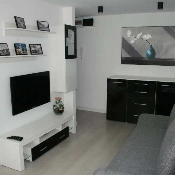 Apartament Miedzianka, hotel i Chocianów