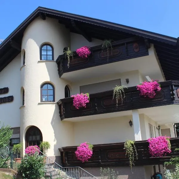 Pension Haus Erika, hotel v destinaci Stadtprozelten