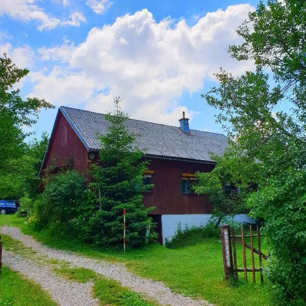 Draga Koncar Guest House, hotel em Vrelo Koreničko