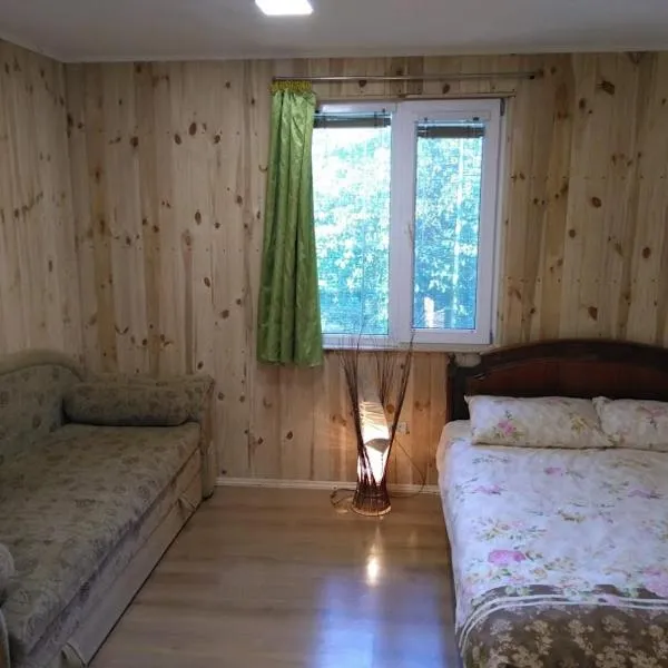 Еко-садиба БАКОТА, hotel v destinaci Kolodiyevka