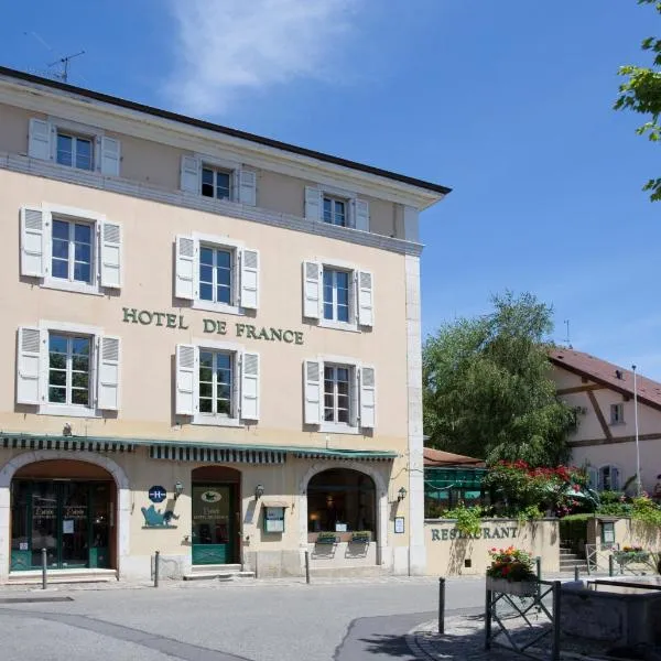 Hôtel de France - Le Patriarche, hotel di Ferney-Voltaire