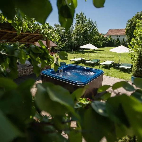 Villa Venus, готель у місті Дева