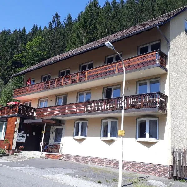 Haus Mena Apartments, hotel din Wildemann