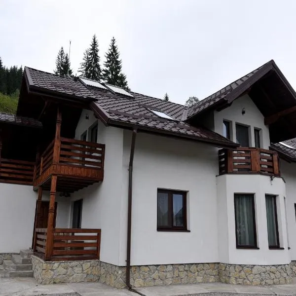 Casa Diaconu, hotel in Fundu Moldovei