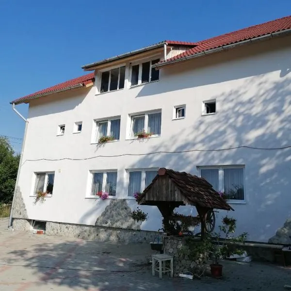 Casa Tonyza: Cisnădie şehrinde bir otel