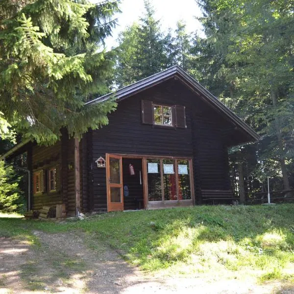 Ferienhütte Hochalm, hotel v destinaci Lunz am See