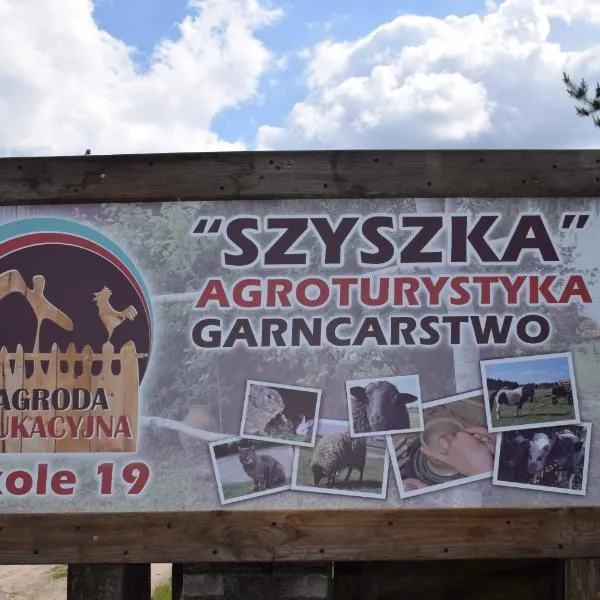 Agroturystyka SZYSZKA、プシェフレボのホテル