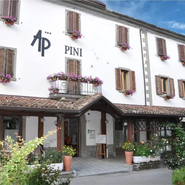 Hotel Pini, hotel in Campigna