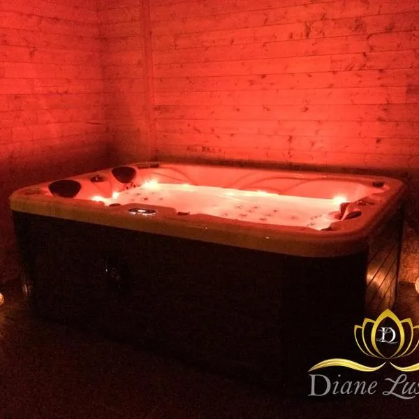 Diane Luxury 1, hotel in Roubaix