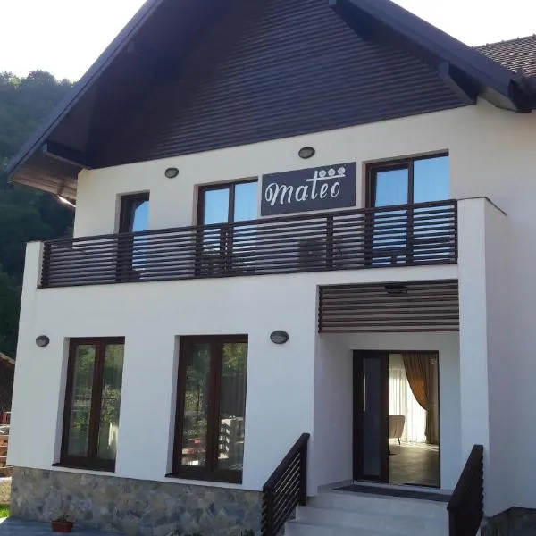 Mateo Transalpina, hotel v destinaci Săsciori