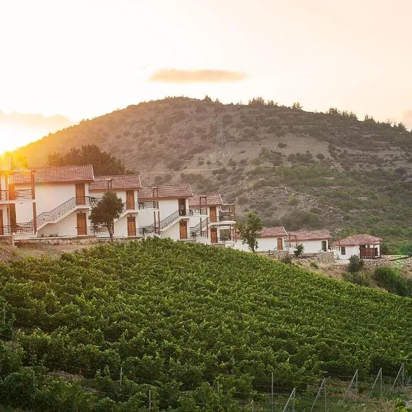 Gillham Vineyard Hotel, hotel in Lapithos