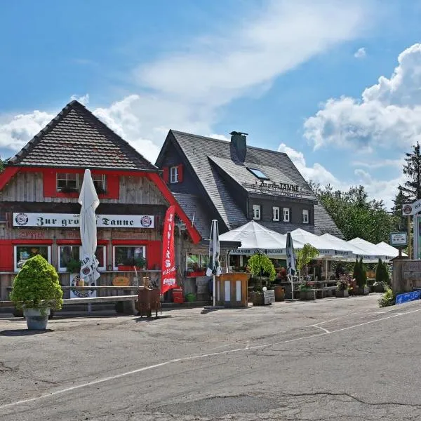 Zur grossen Tanne, hotel v destinaci Bühl