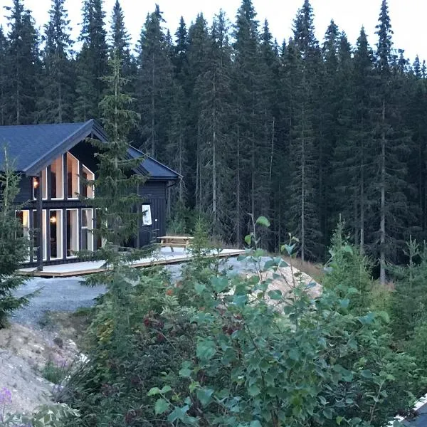 Lillebjørn, hotel in Trysil