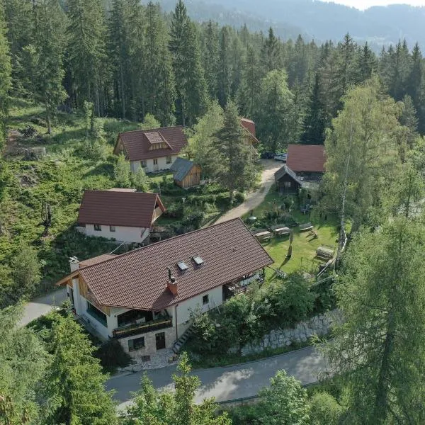 Viesnīca Guesthouse Planinski Dom Majerhold pilsētā Solčava
