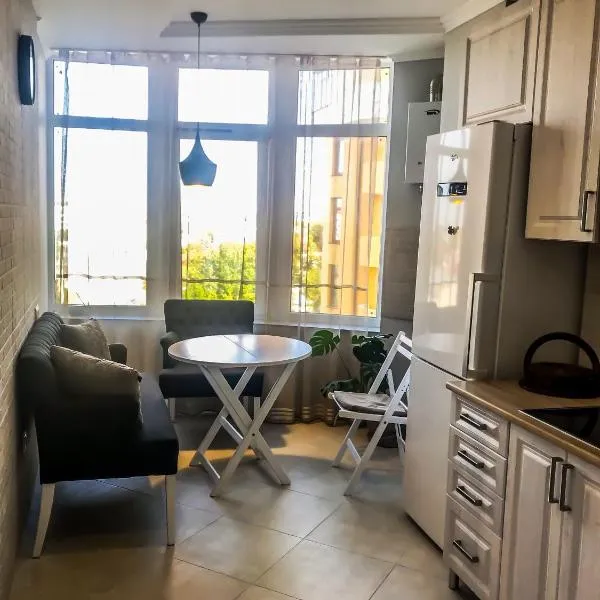 Роксолани 16 Апартаменти, hotel in Truskavets