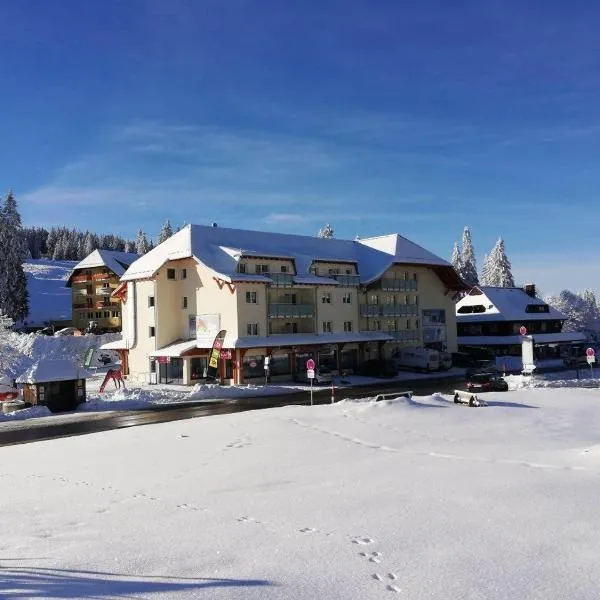 Bergkristall, hotel v destinaci Feldberg