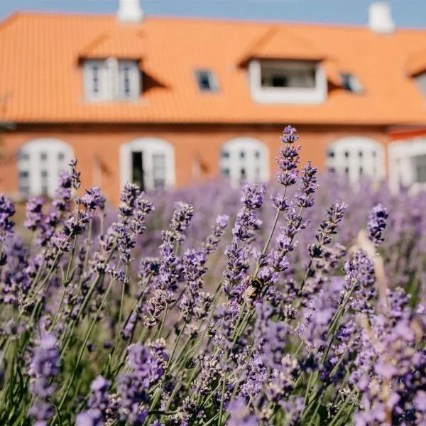 Jungshoved Præstegård B&B, hotel v destinaci Præstø