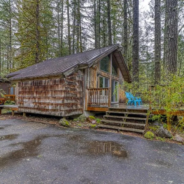 Pappy's Cabin, hotel in Rhododendron
