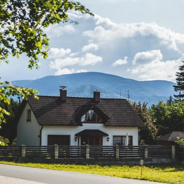 Penzion u lázní, viešbutis mieste Velke Losinai