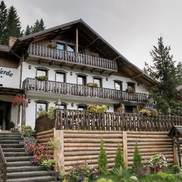 Casa Verde, hotel in Văleni-Stînişoara